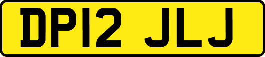 DP12JLJ