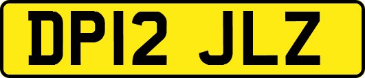 DP12JLZ