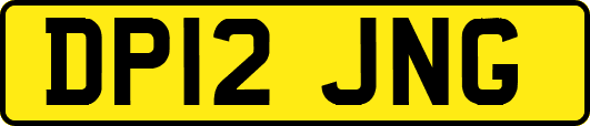 DP12JNG