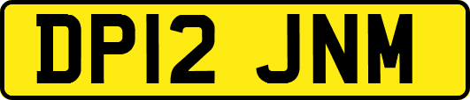 DP12JNM