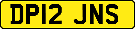 DP12JNS