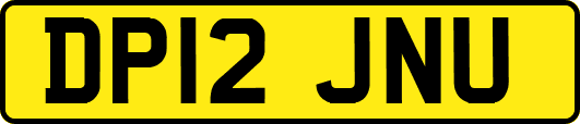 DP12JNU