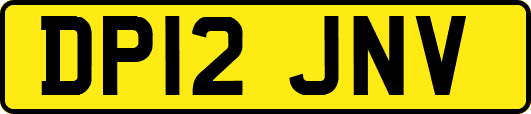 DP12JNV