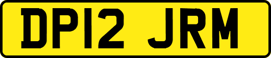 DP12JRM