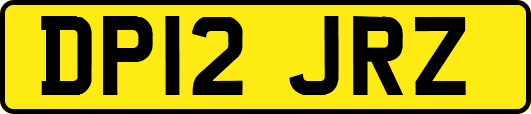 DP12JRZ
