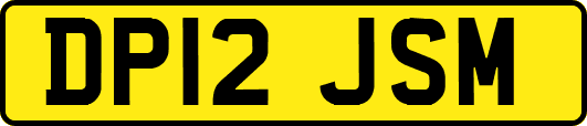 DP12JSM