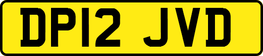 DP12JVD