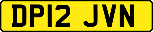 DP12JVN