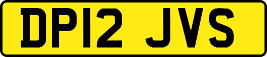 DP12JVS
