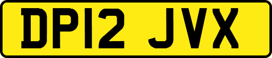 DP12JVX