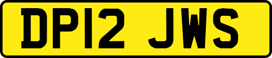DP12JWS