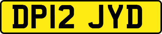 DP12JYD