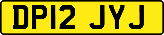 DP12JYJ