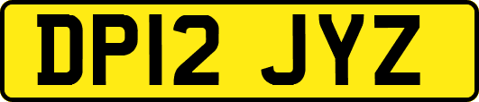 DP12JYZ