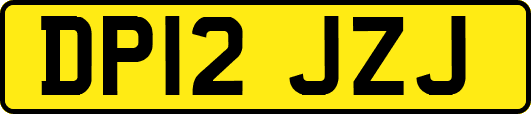 DP12JZJ