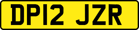 DP12JZR