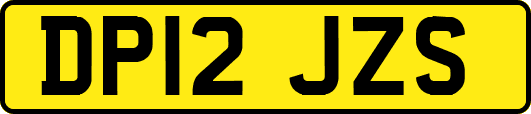 DP12JZS