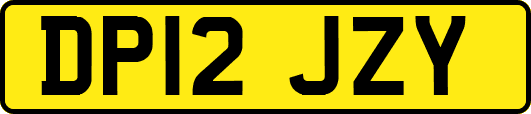 DP12JZY