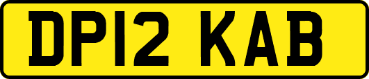 DP12KAB