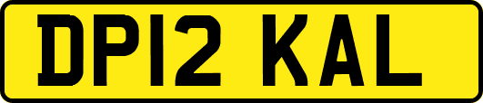 DP12KAL