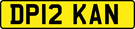 DP12KAN
