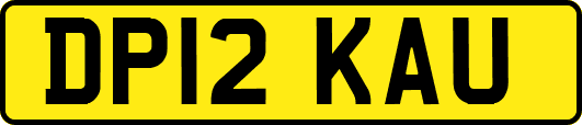 DP12KAU