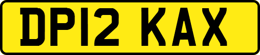 DP12KAX