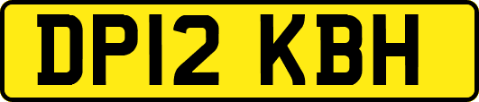DP12KBH