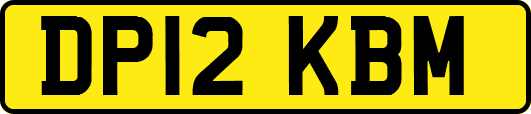 DP12KBM