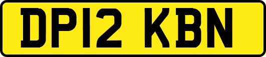 DP12KBN