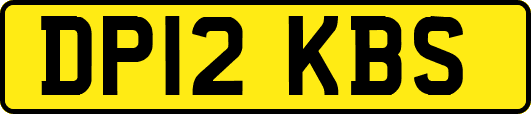 DP12KBS