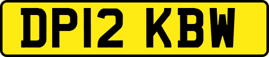 DP12KBW