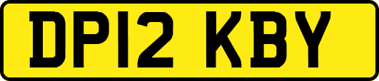 DP12KBY