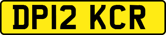 DP12KCR