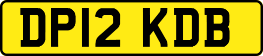 DP12KDB