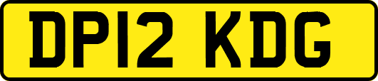 DP12KDG
