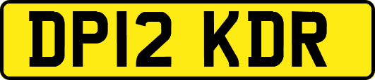 DP12KDR