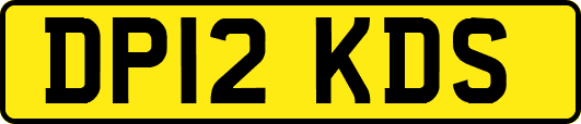 DP12KDS
