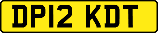 DP12KDT