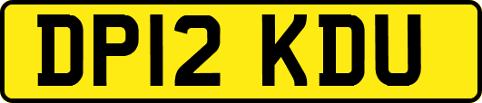 DP12KDU
