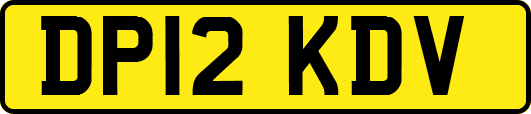 DP12KDV