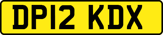 DP12KDX
