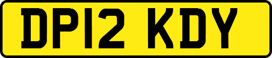 DP12KDY