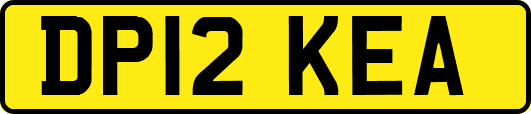 DP12KEA