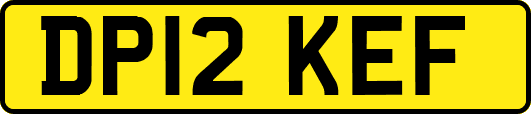 DP12KEF