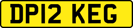 DP12KEG