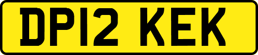 DP12KEK