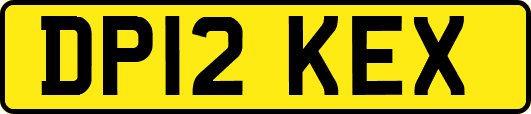 DP12KEX