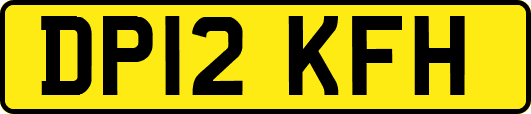 DP12KFH