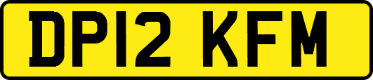 DP12KFM